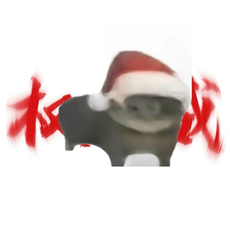 猫仙人