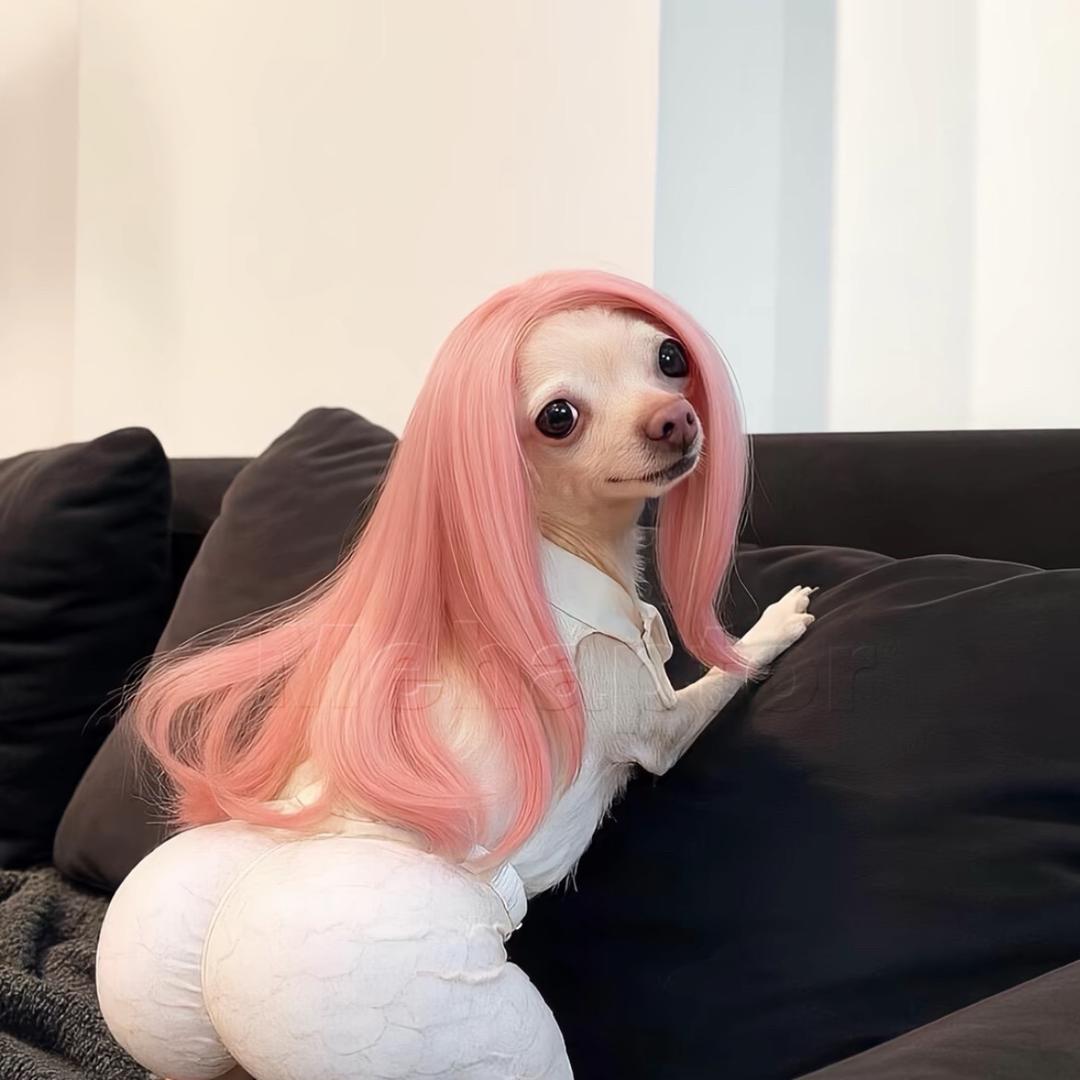 ㅤㅤㅤ ⁥ㅤㅤㅤ⁥ Wyy_Y17.