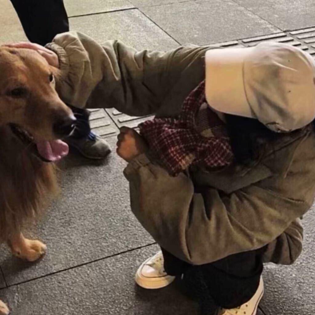 Yee. 　　　   🪳