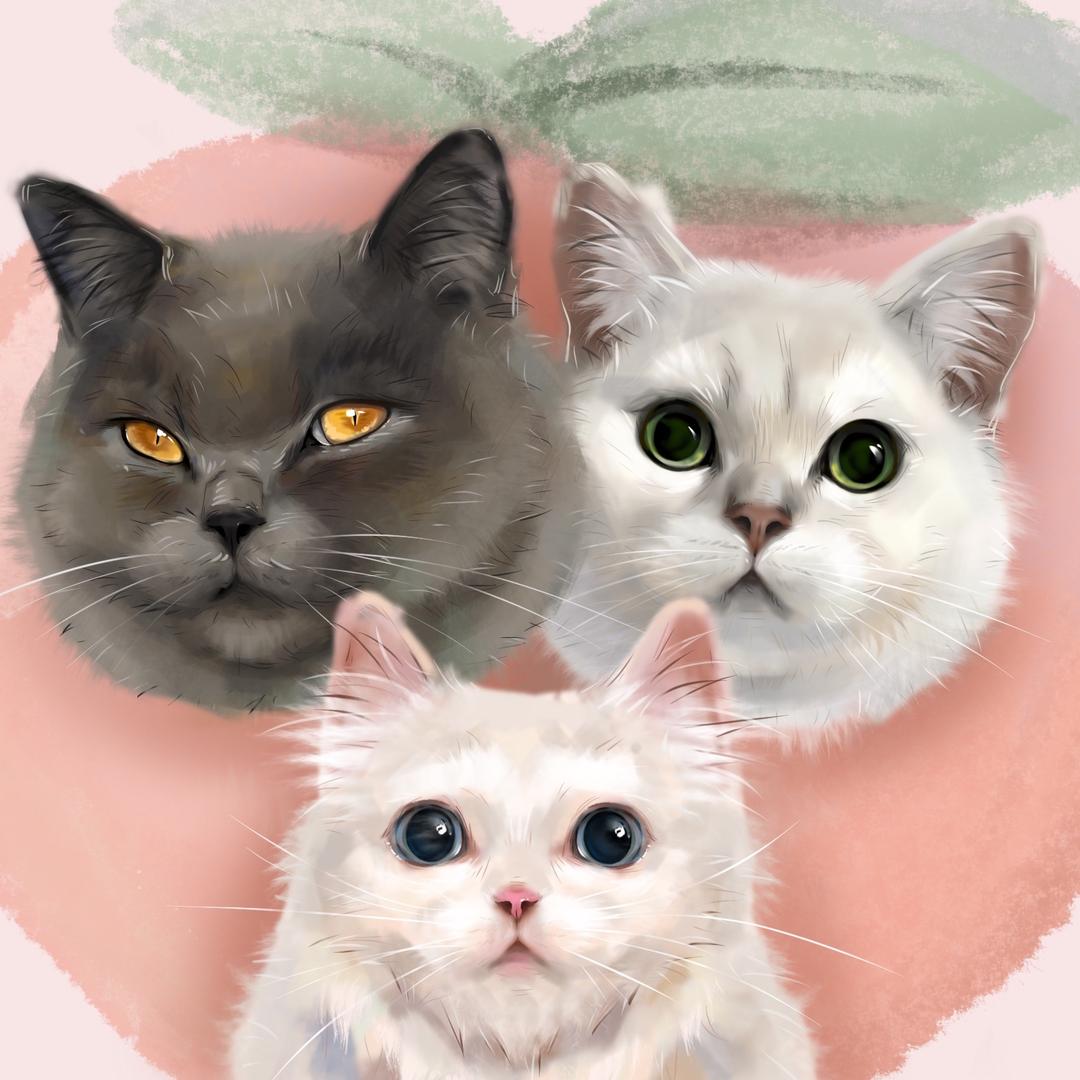 桃子的呸呸猫🐱@抖音