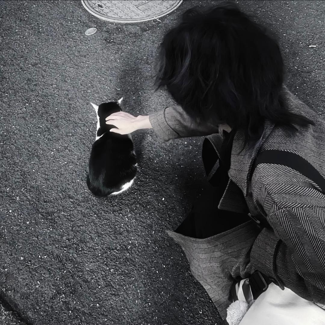 夜