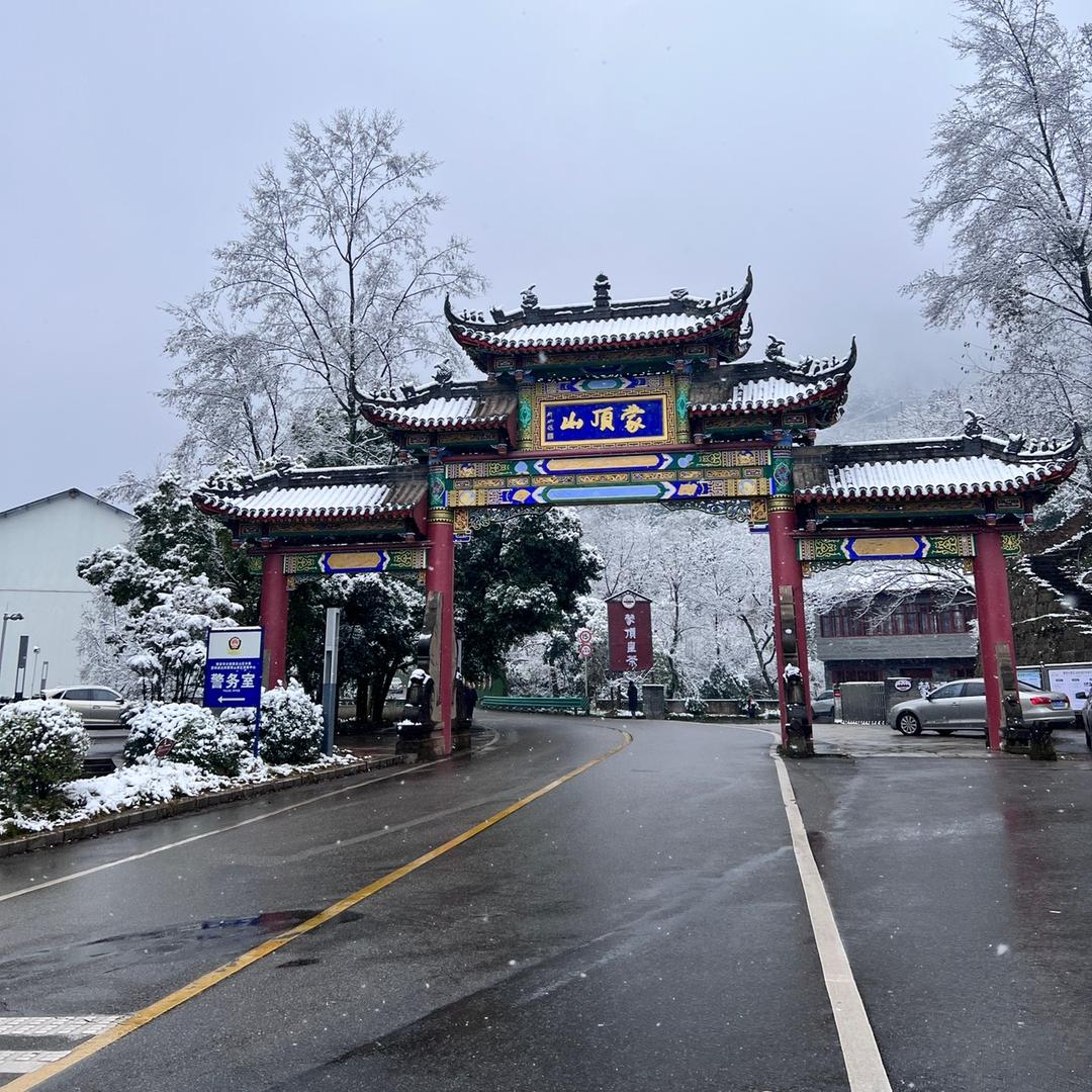 成都青竹茶业有限公司