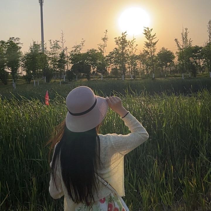 向阳🌻而生
