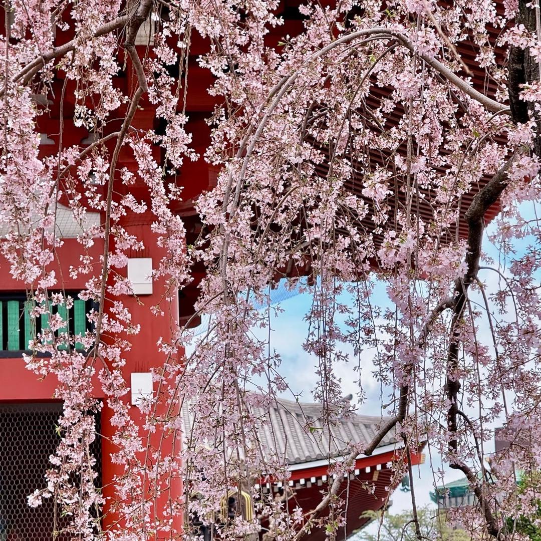 雅赞母婴棉纱生活馆1