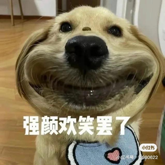 你好春天