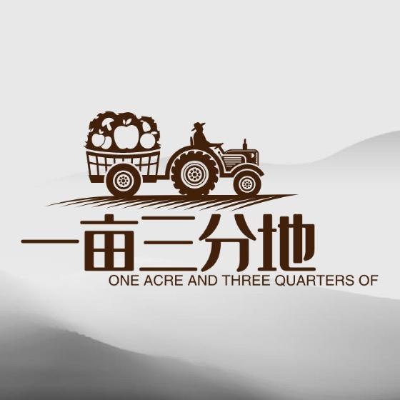 一亩三分地500