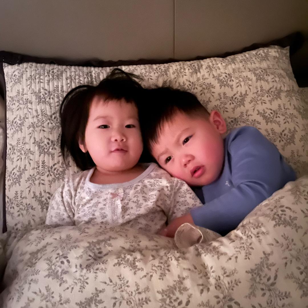 大仔小可🐯🐰