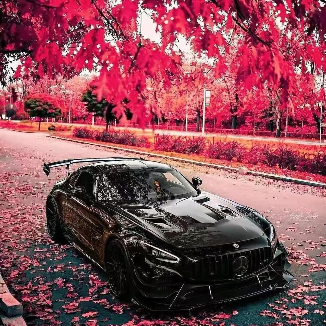 龙飞二手车