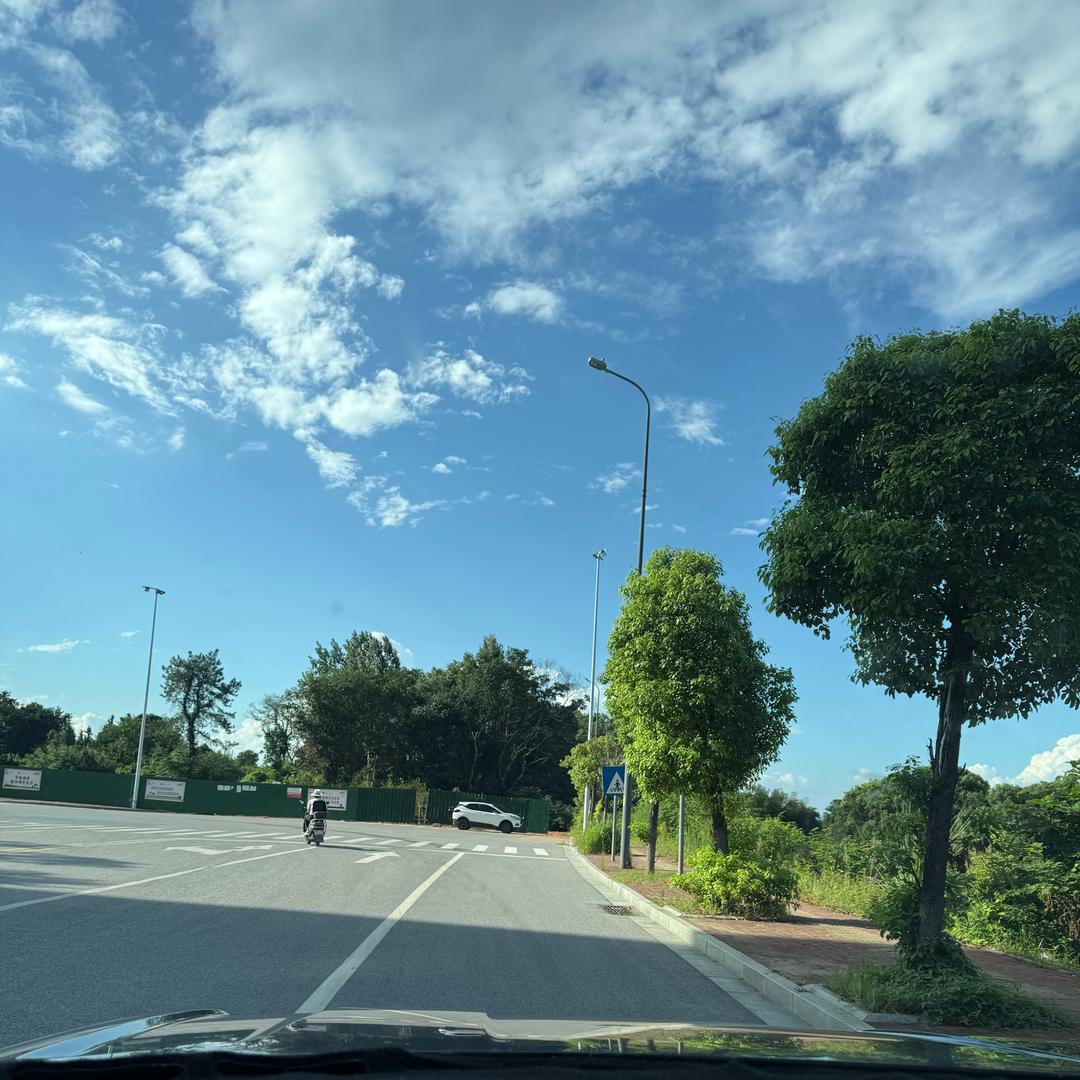 温暖的阳光