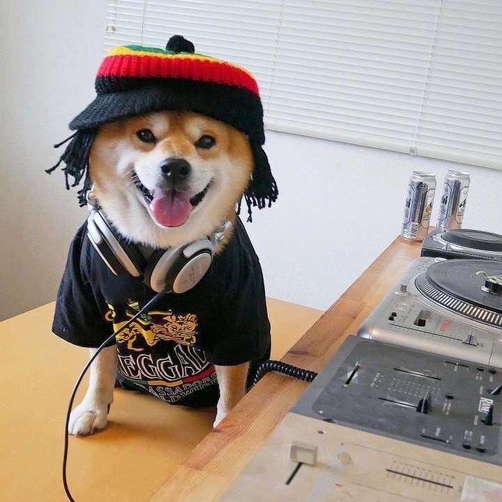 恭喜发财