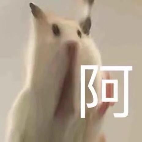 今晚喝威士忌吗