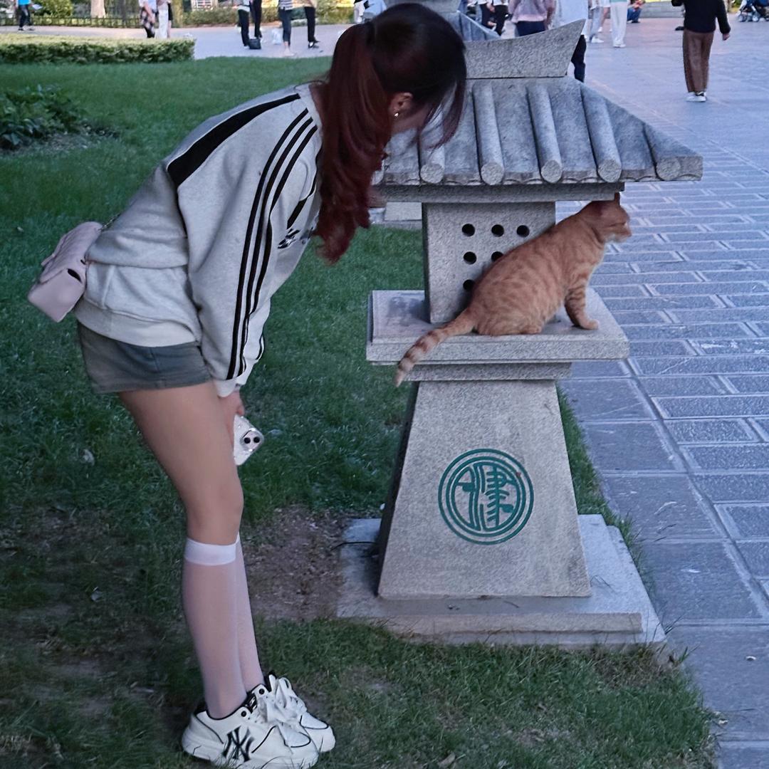 小九是甜妹🐰