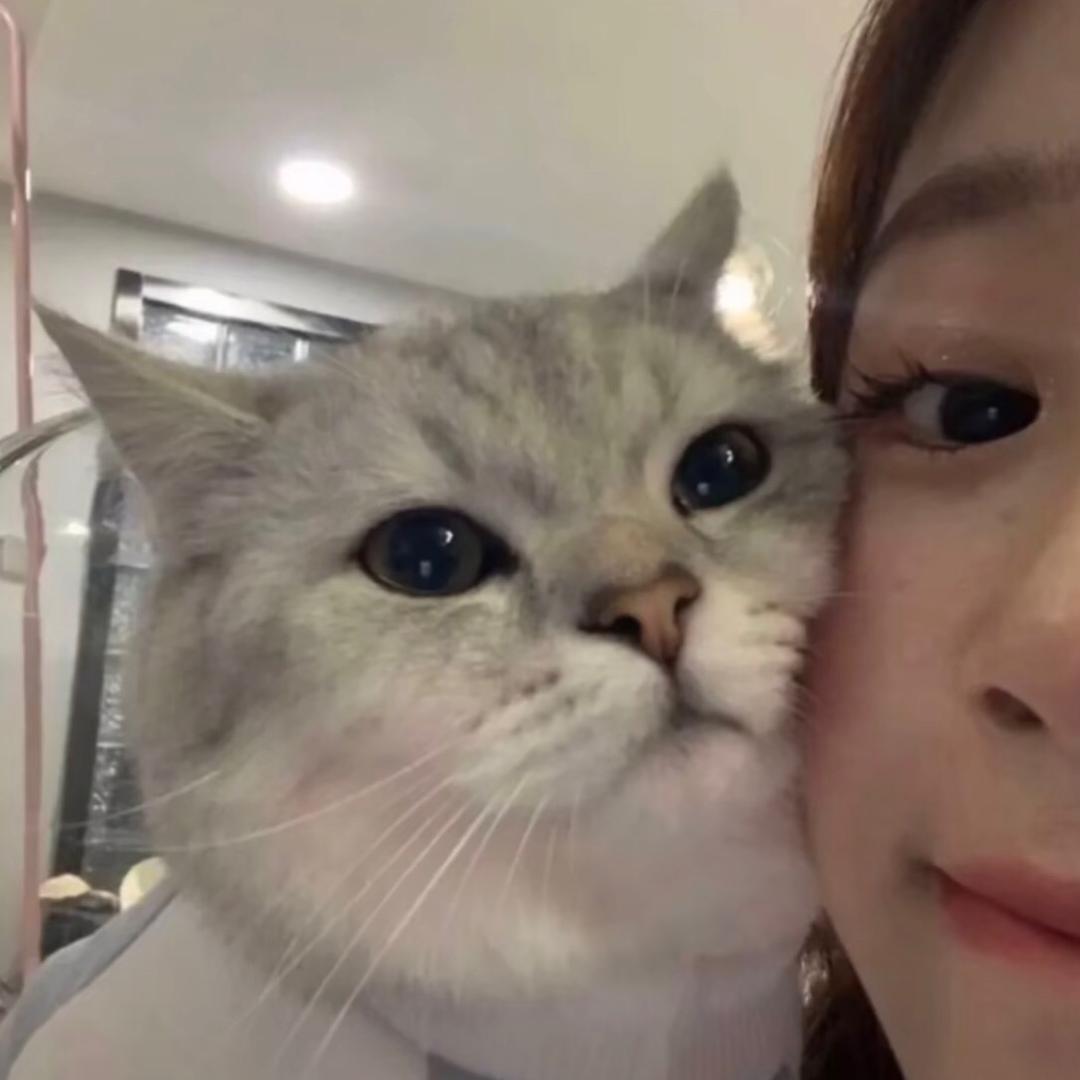 鸡翅杀手