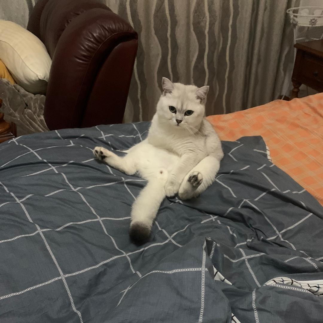 一根胡萝贝