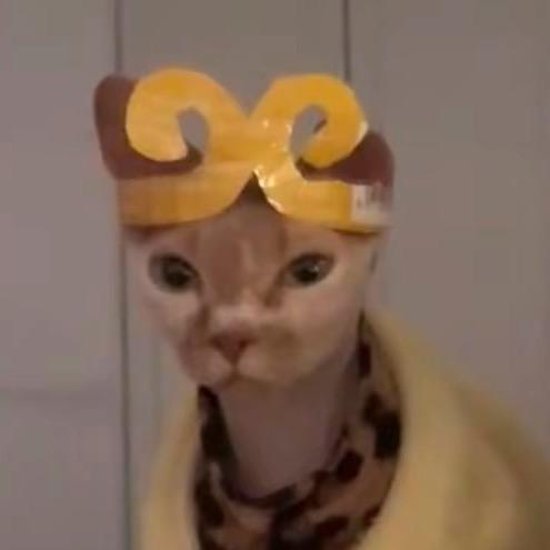 彬彬