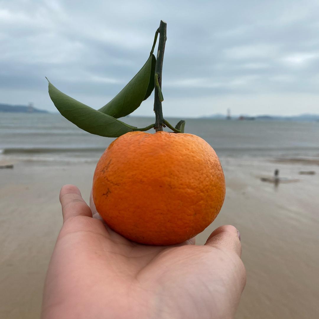 可丽可爱叶小姐