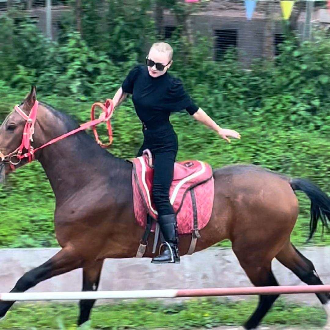 马🐎背上的霸气姐