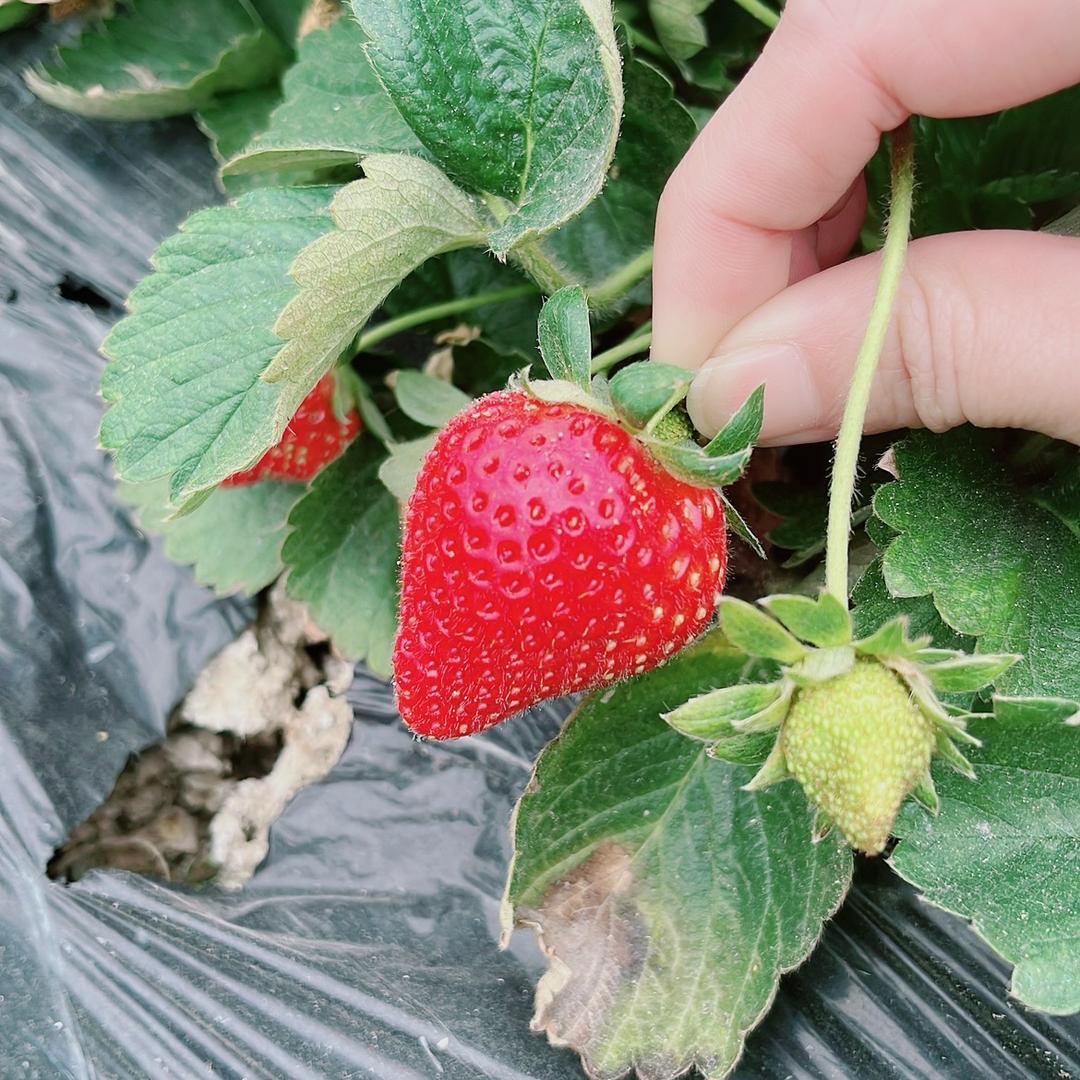 周周带你吃喝玩乐