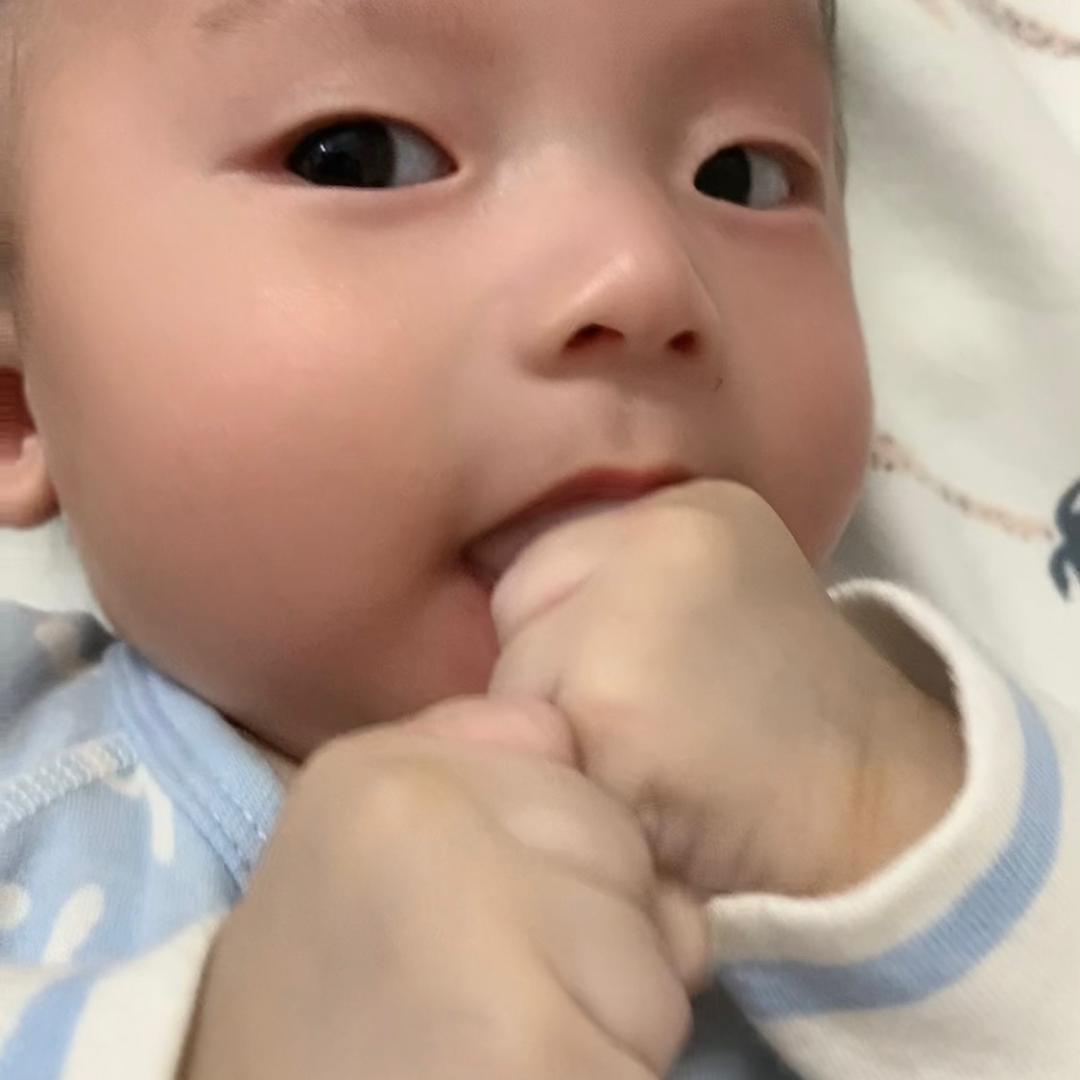 吕小姐的肉丸日记