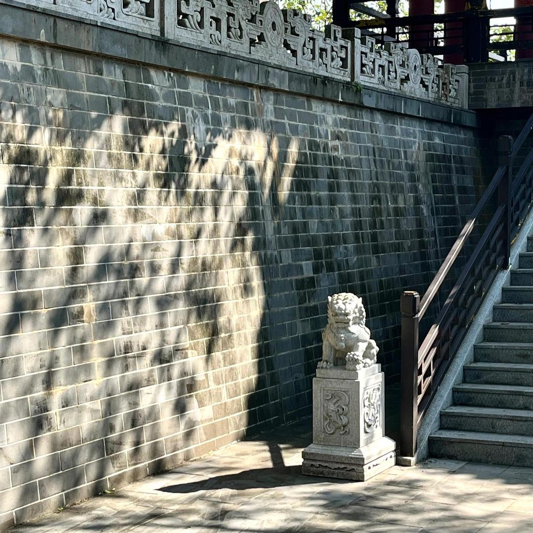 元宝不想上班日记