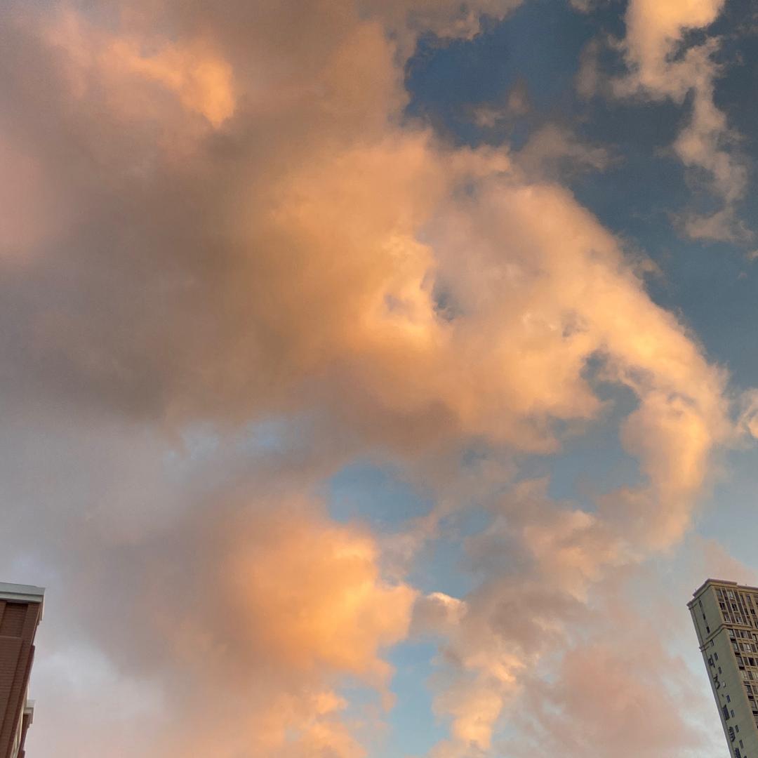 草本个护好物推荐