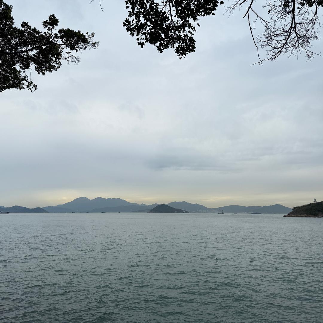 柠檬酸