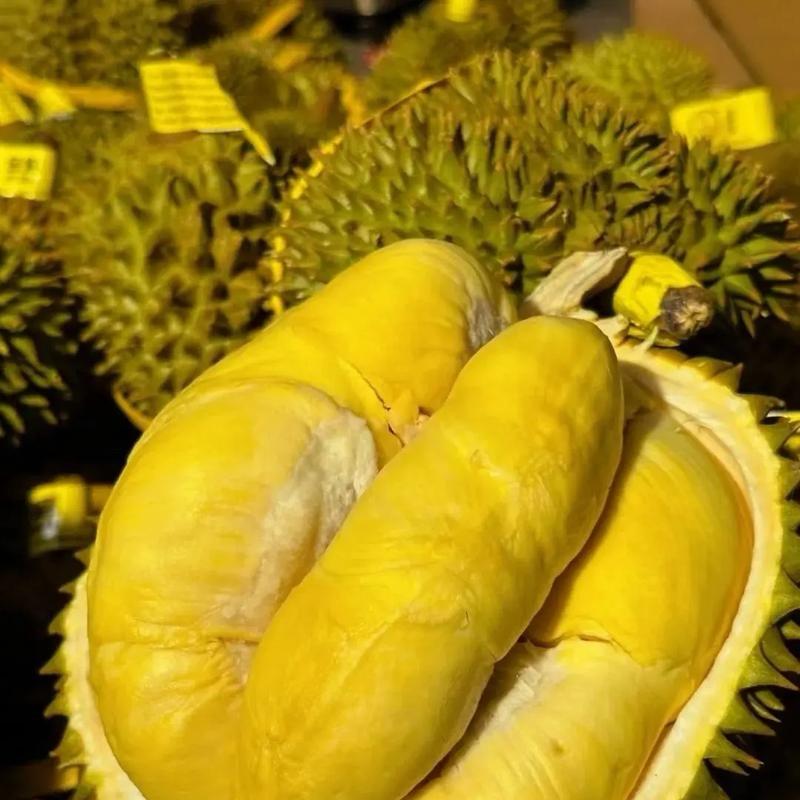 猫山王榴莲工厂店