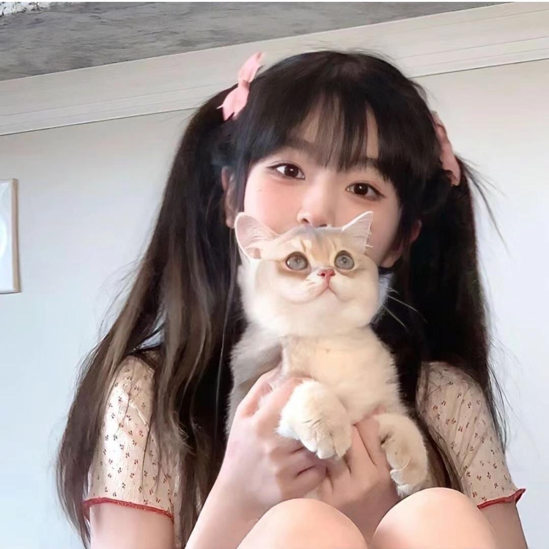 奶茶mm