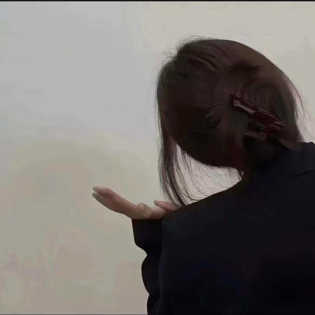 Li Li