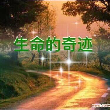 生命的奇迹