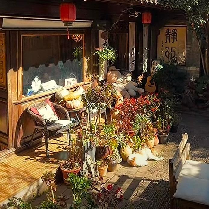 我的鹏～