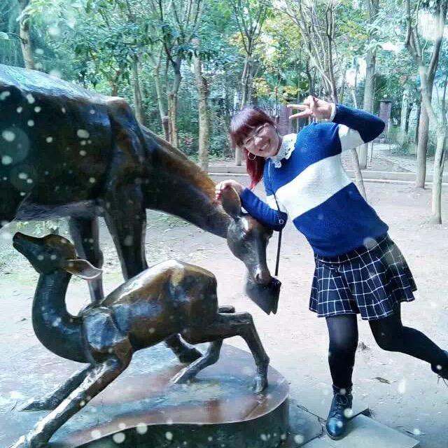 李胡英