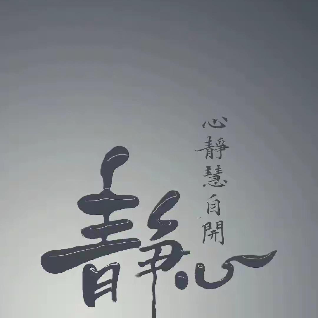 静心🐾