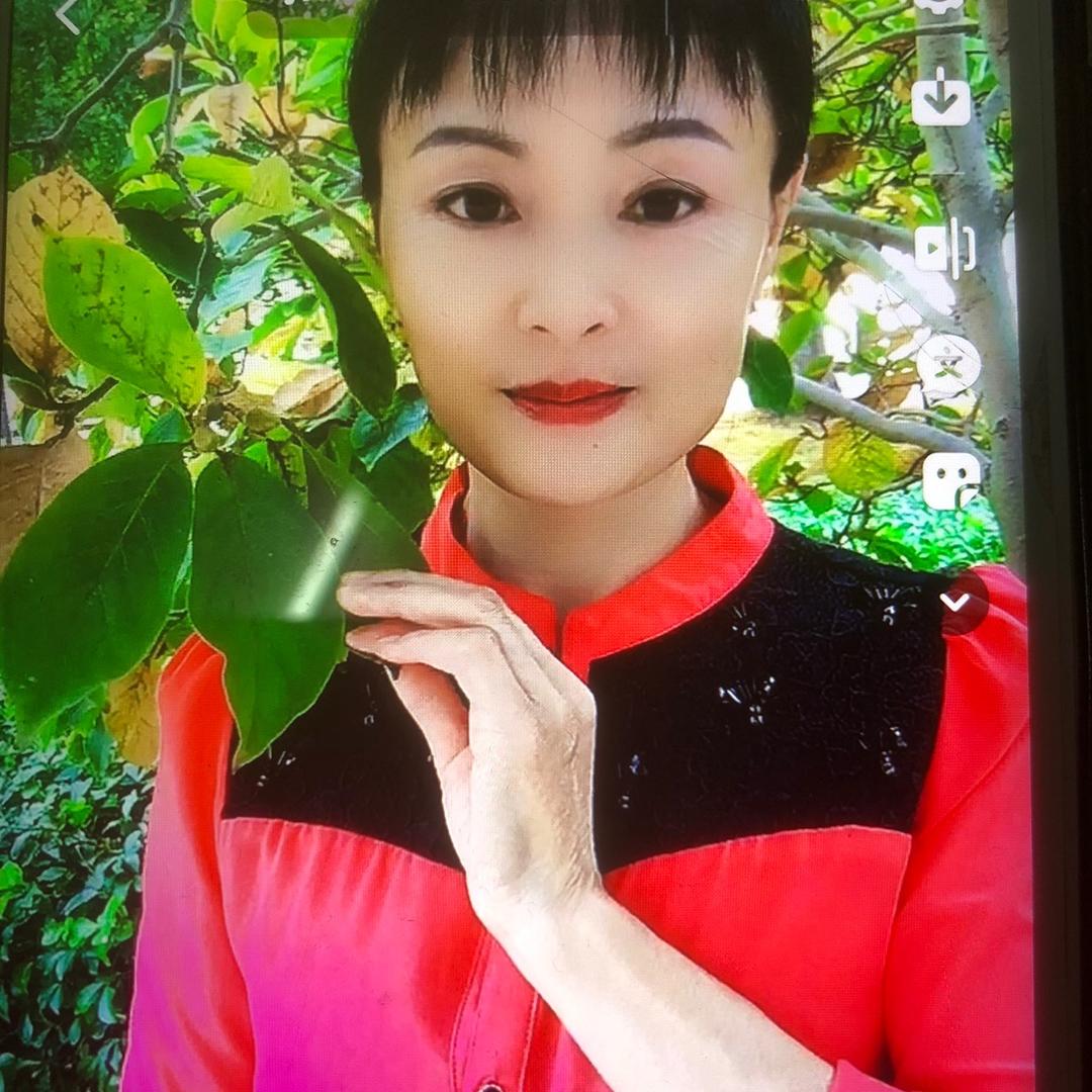 农村燕子直播筹备中