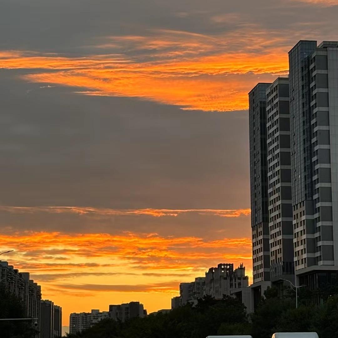 杨主任讲央国企