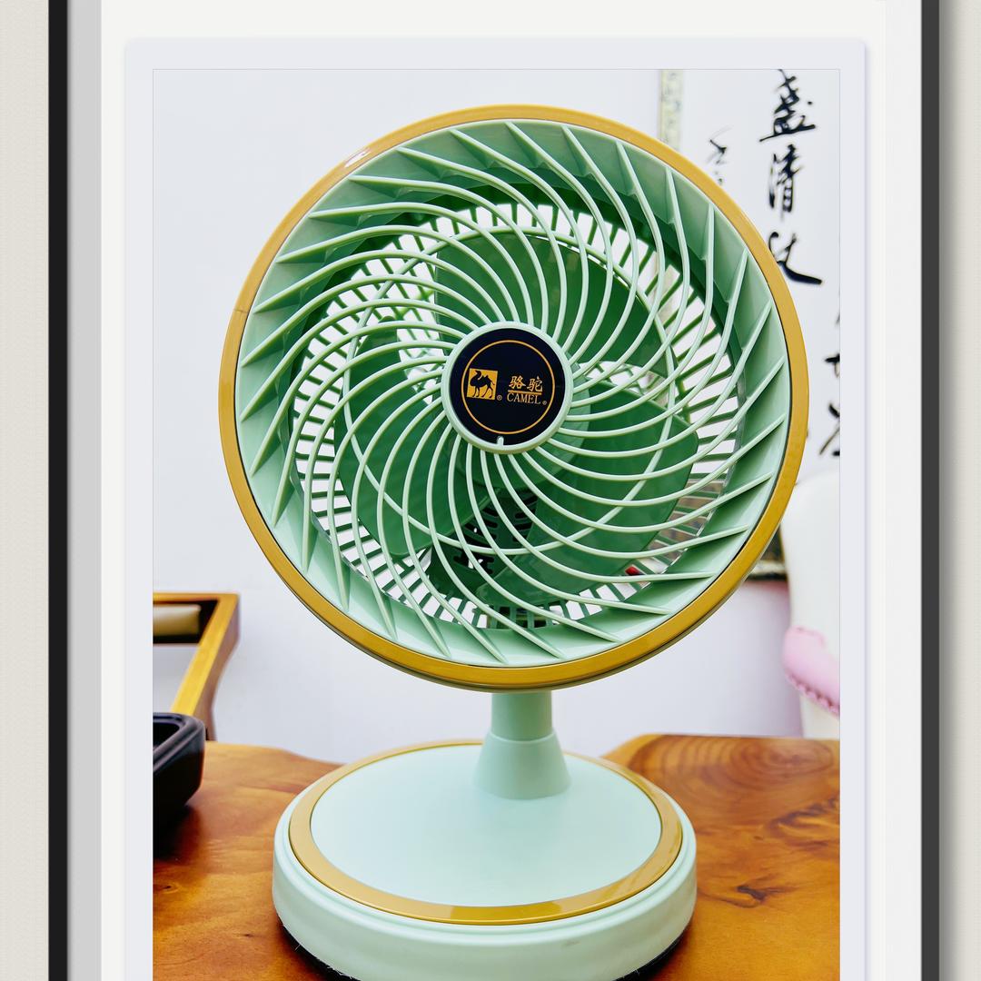 骆驼小玲电器商行蓉蓉分行