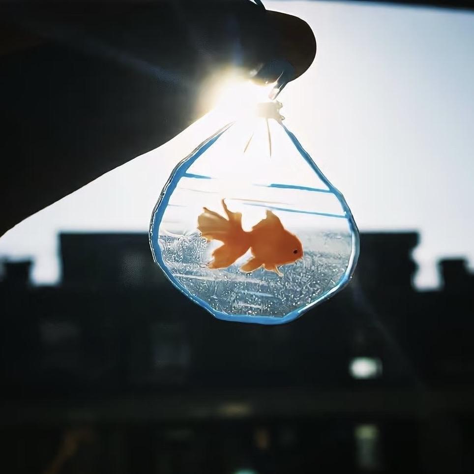 拔掉全世界的葱