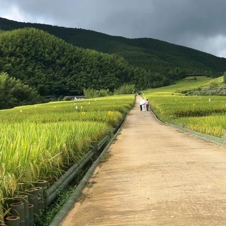 木凡