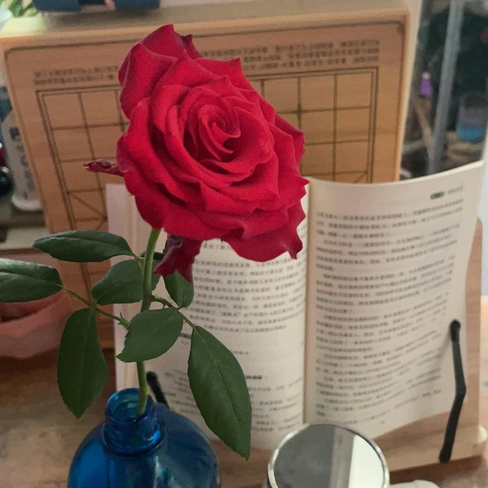 🌈欧耶✌️ 🌈