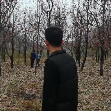 张什么