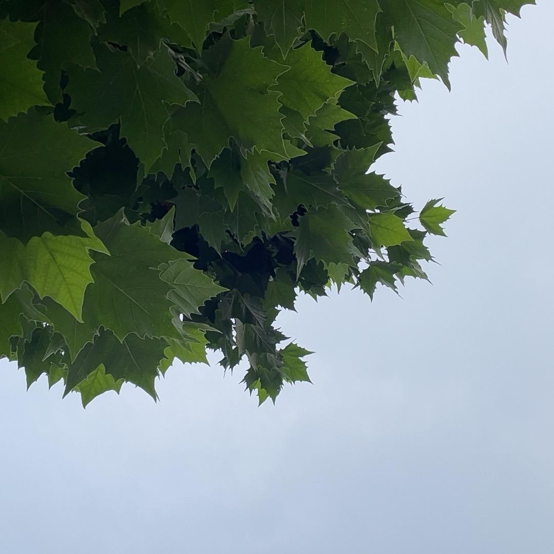 心情不下雨