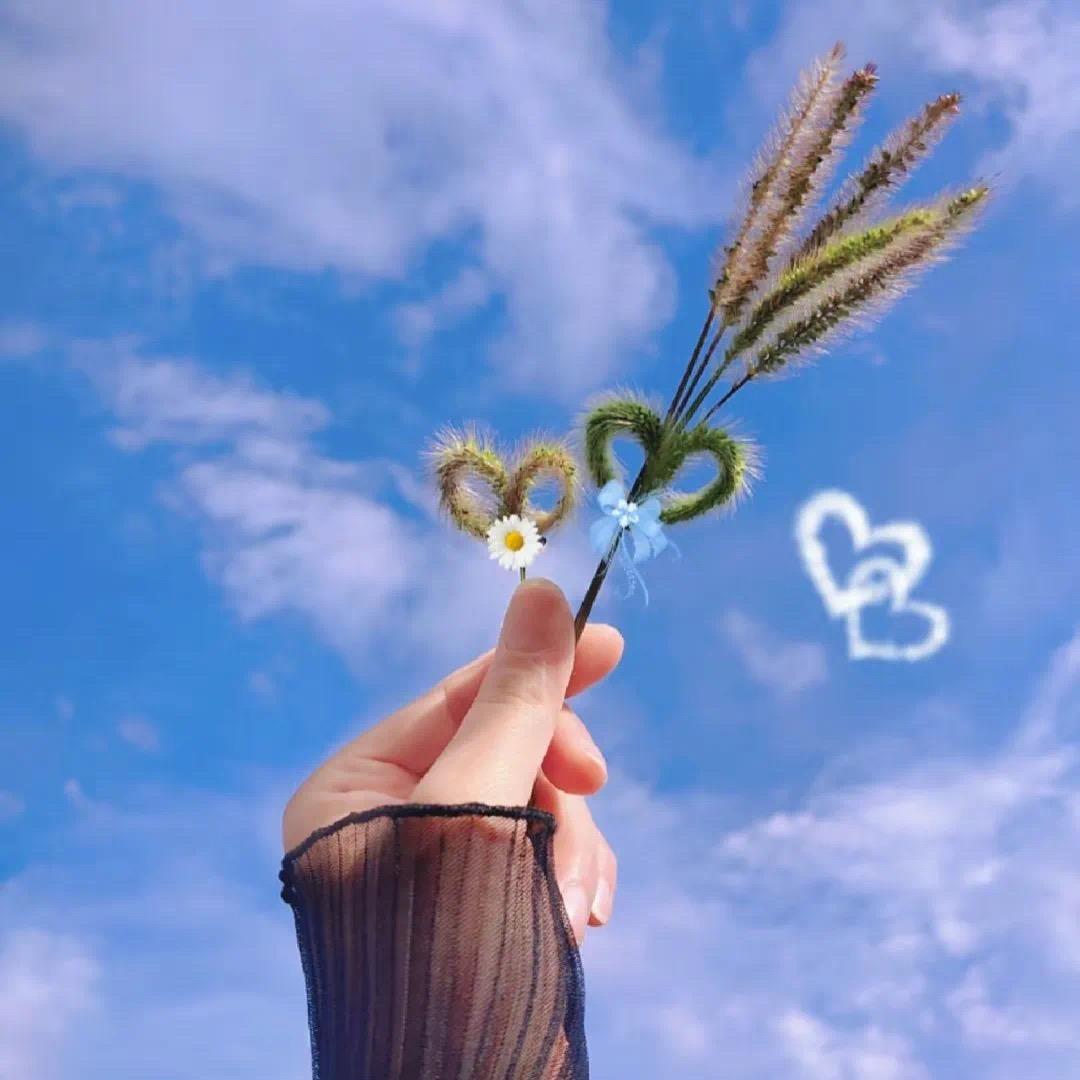 你若安好，便是晴天。拒绝私聊