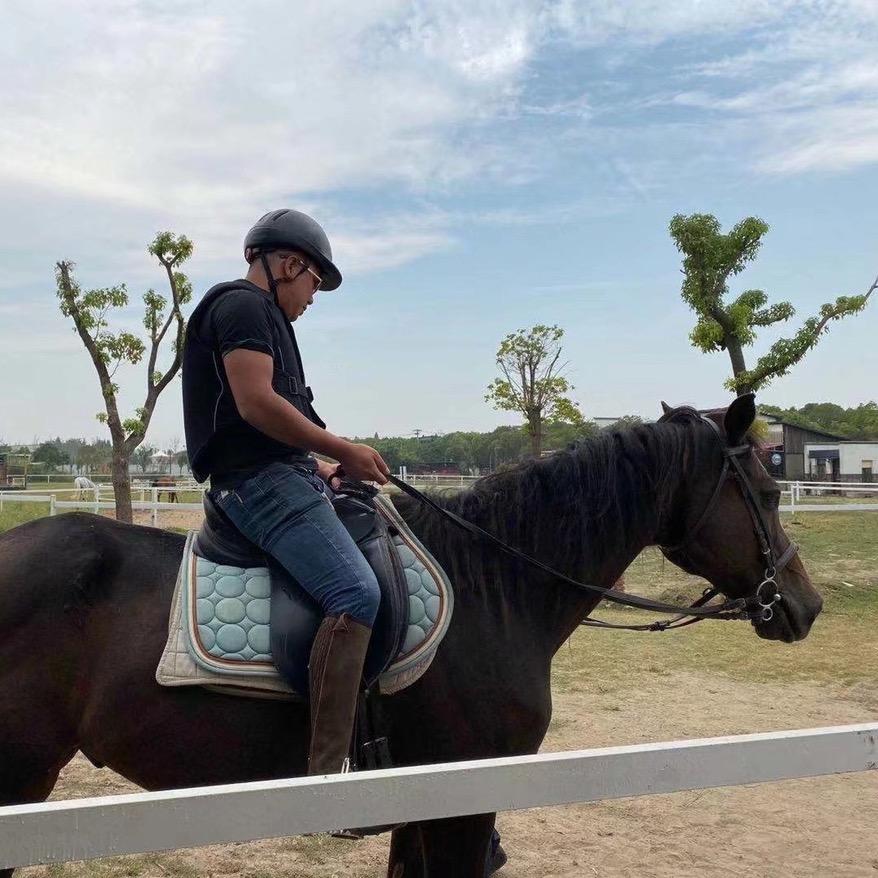 磊鑫园林绿化工程有限公司