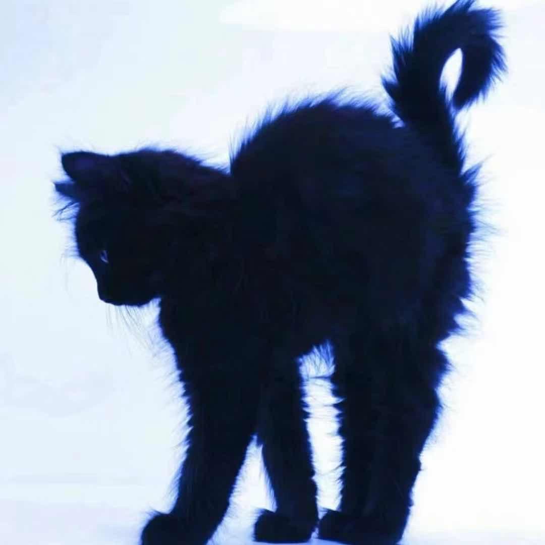 同香谷香铺手工体验(云图科技城店)官方号