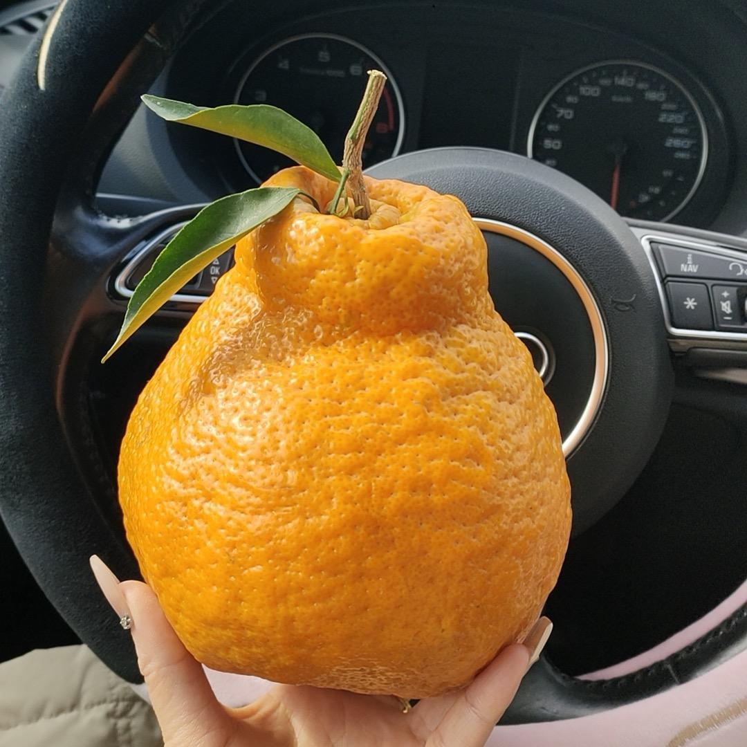 💓暖暖 （拒绝连赞）