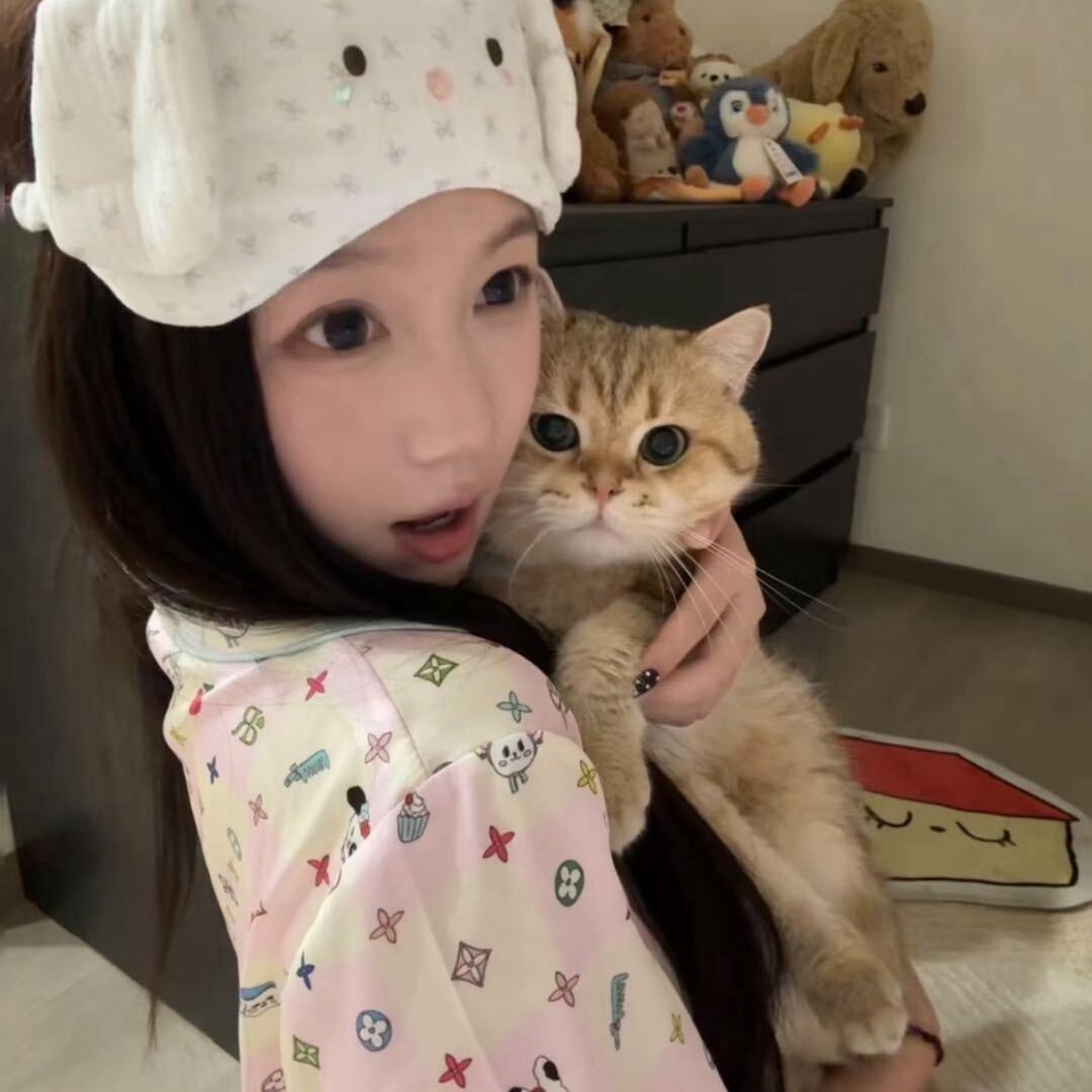 😼zzzz