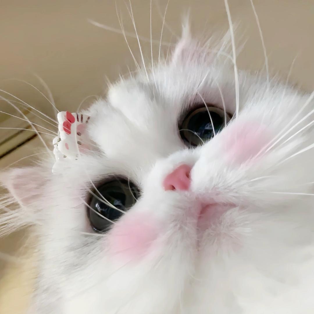 Nini