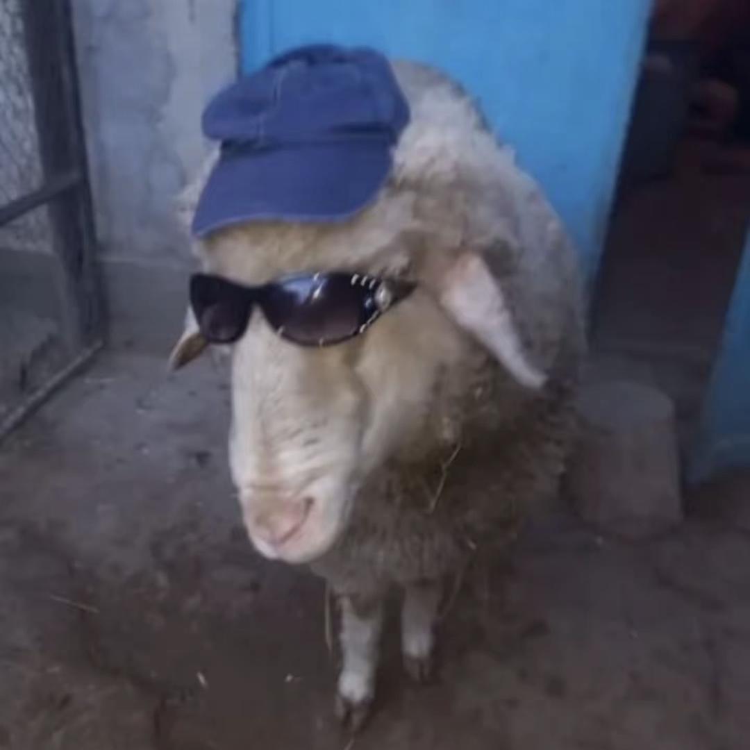 小百万