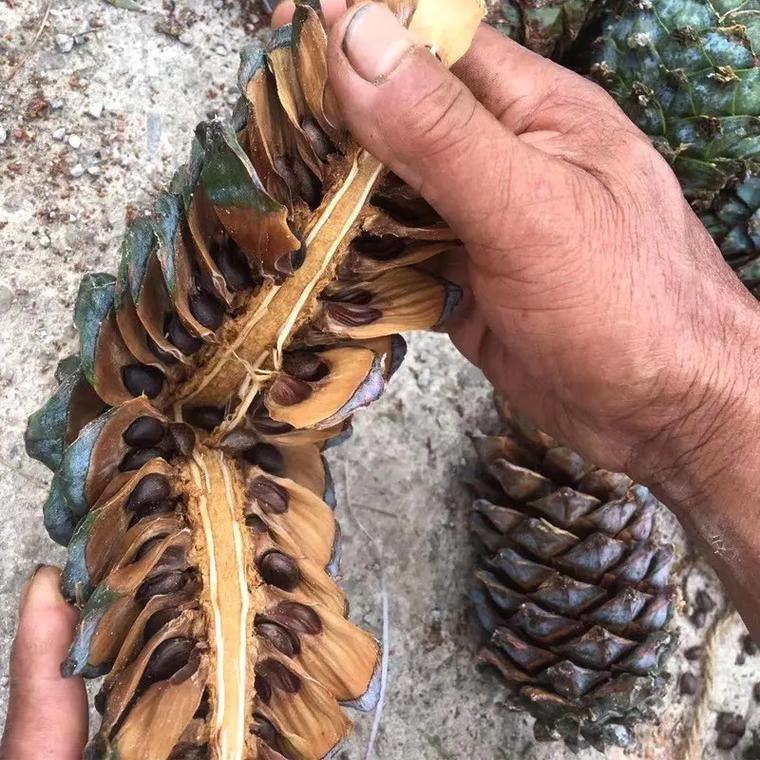 大理市华心农副产品销售部