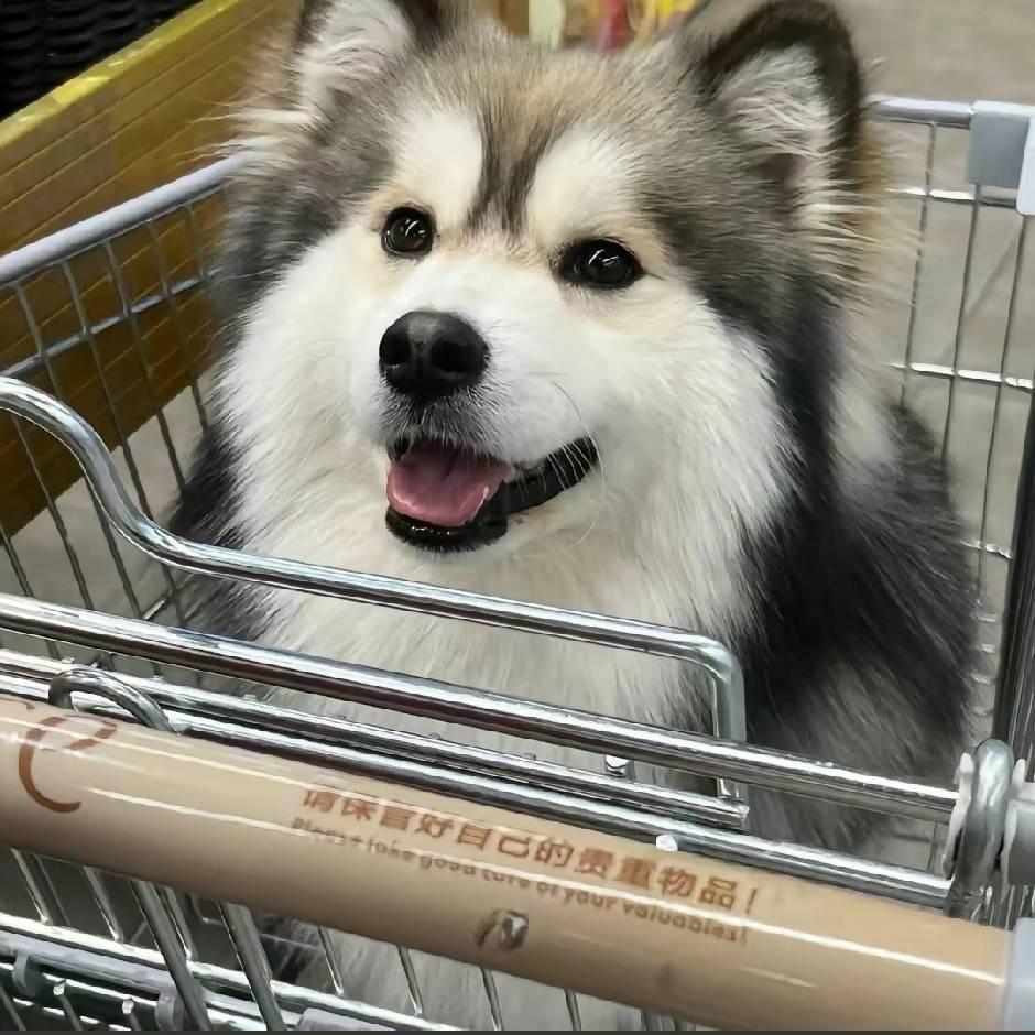 任俊彤